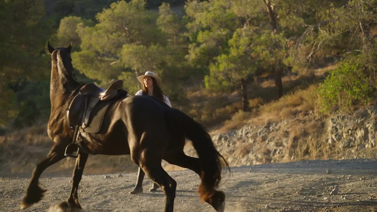 Graceful purebred horse running in slow motion around professional equestrian