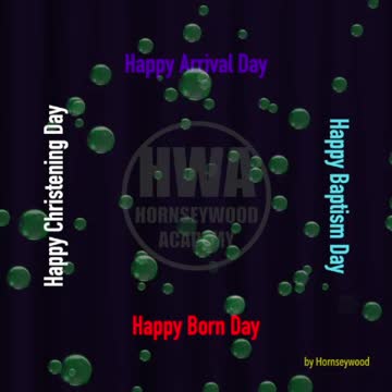 Happy | Arrival day | Single