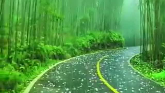 Rumble :- Short Video is Rain .🌧🌧🌧.
