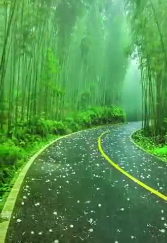 Rumble :- Short Video is Rain .🌧🌧🌧.