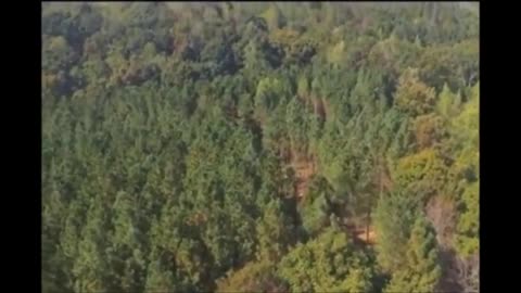 Un randonneur entend un sifflement terrifiant lors d’une randonnée sur le mont Washington