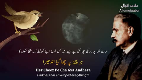 Allama iqbal poetry