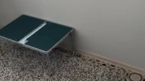Workplace arrangement