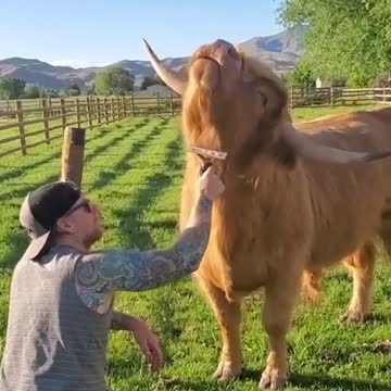 Come on baby light my fire