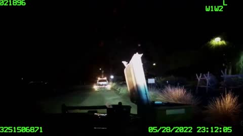 Paul Pelosi DUI Dashcam Video Released