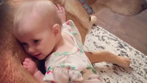 Small Baby Playing With Dog // Cute Video