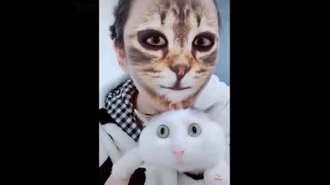 funny cat video