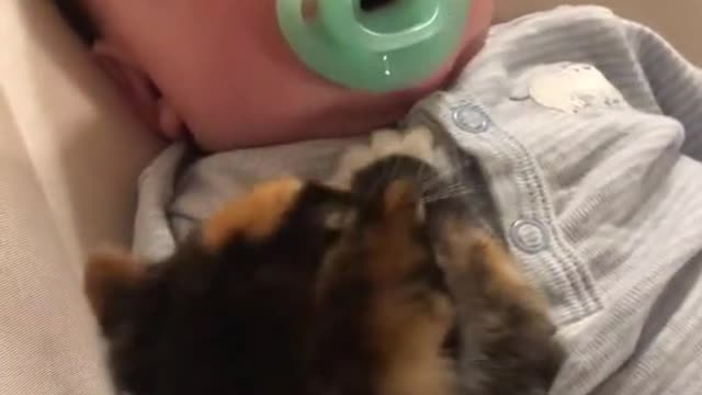 Baby cat and my son