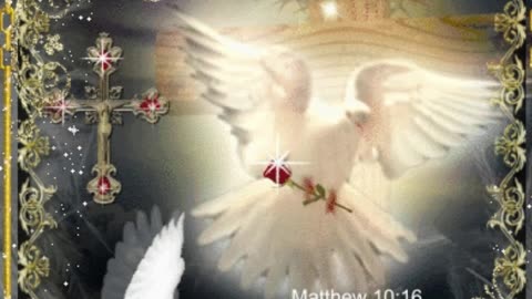 Nighttime Prayer to be Wise #youtubeshorts #grace #jesus #mercy #faith #fyp #blessed #trustgod #love