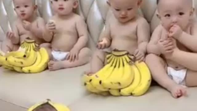 BABY COOL 2022 OF BANANA