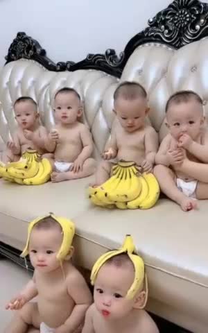 BABY COOL 2022 OF BANANA