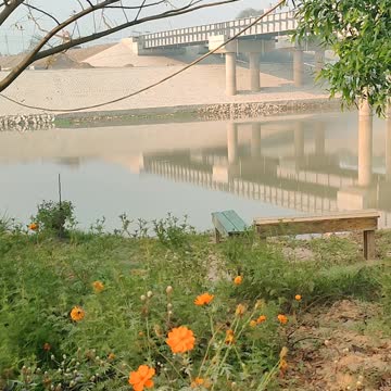 A Morning Sunshine and Flowers