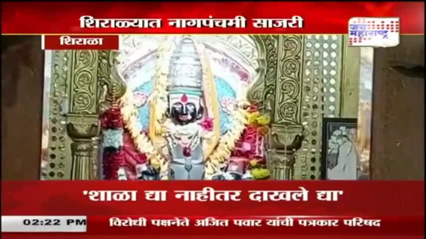 Sangli - शिराळ्यात पारंपरिक पद्धतीने नागपंचमी साजरी - Marathi News