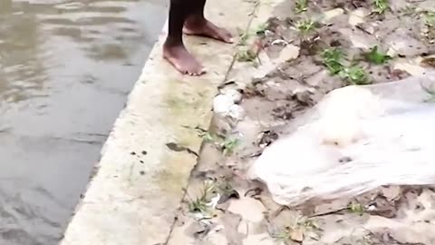 village Fishing #fish #amazingfishing #shorts #short #shortvideo