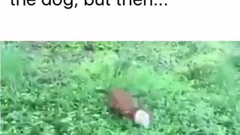 Don't Feel sorry 😂