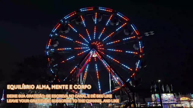 Roda Gigante no Parque/Ferris Wheel in the Park