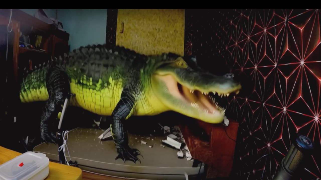 Annoying Alligator In My Room