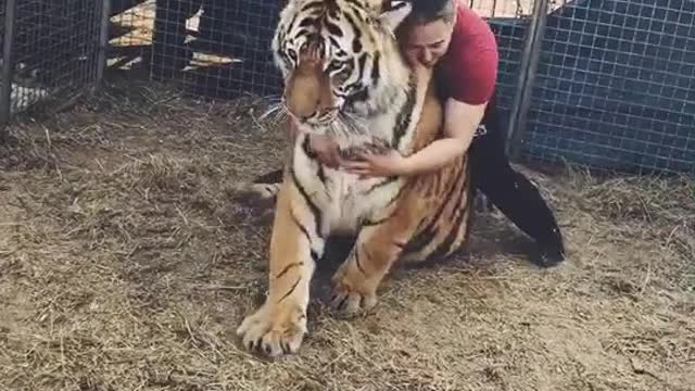 Cute and Funny Cat Videos Compilation - PART 123
