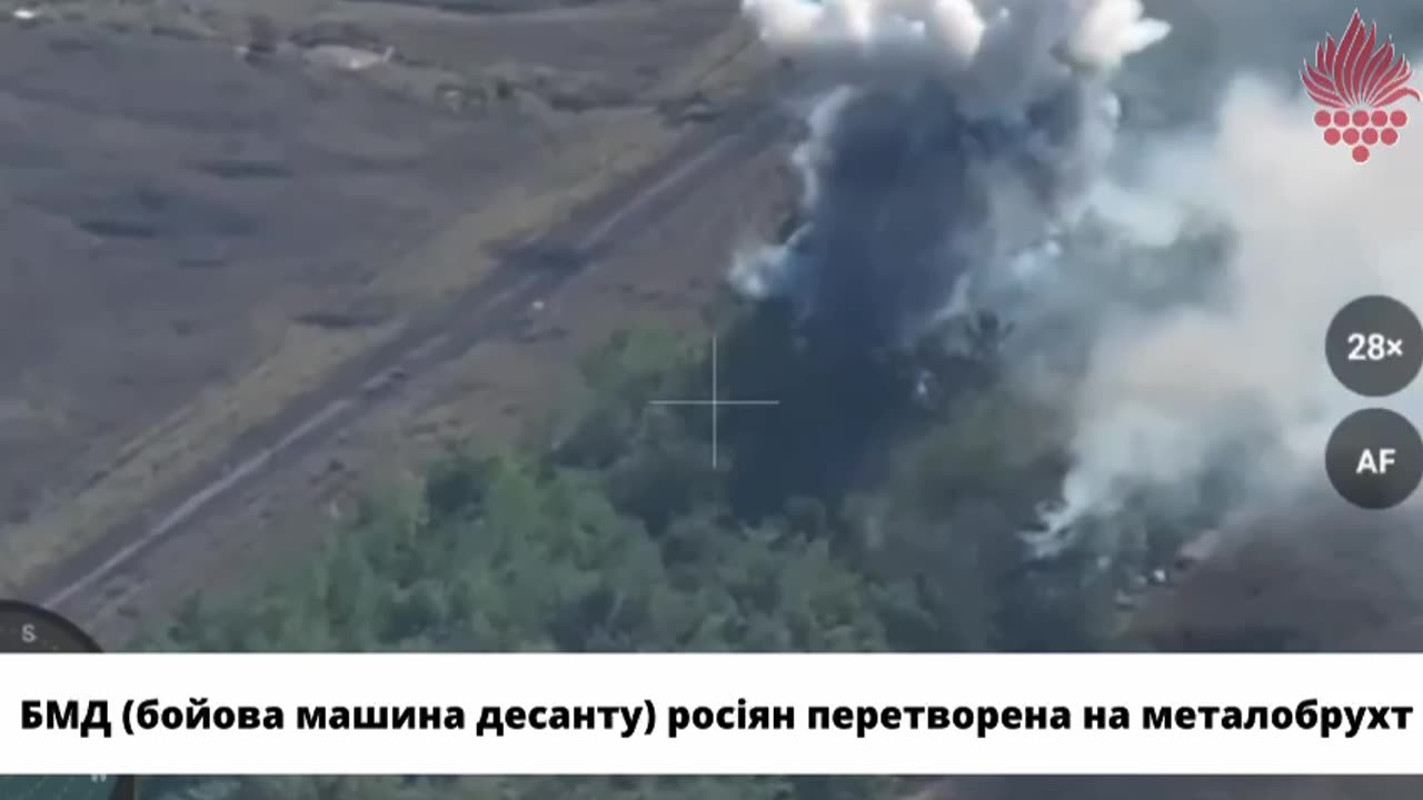 Ukrainian Drone Crew Destroys Several Heavy Guns