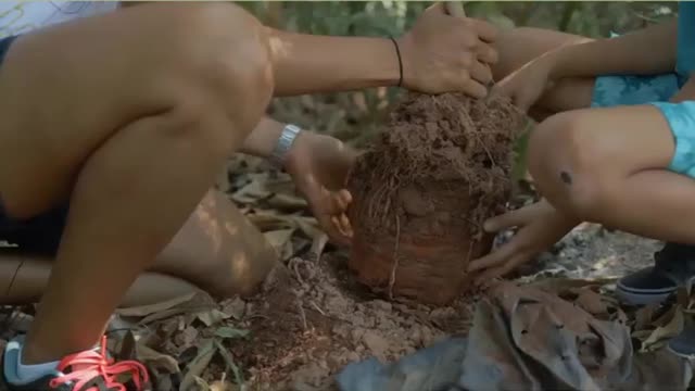 Planting Trees