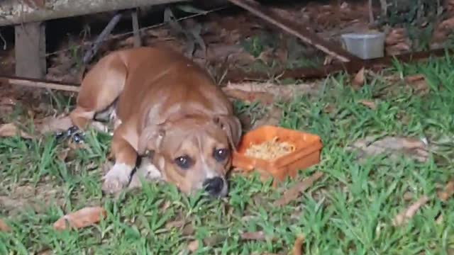 Very sad and the worst thing is that she didn't want to eat!🥺