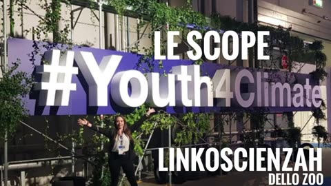 L'attivista e le scope