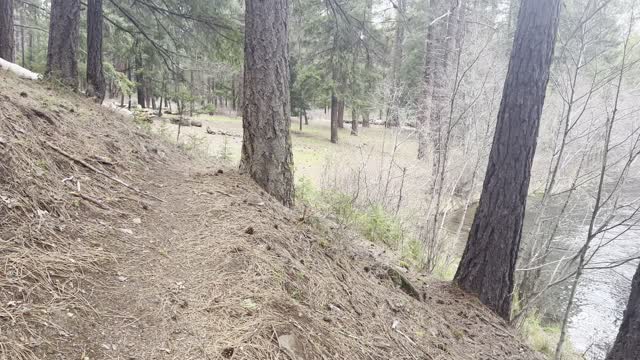 Arriving at Candle Creek Campground – End of West Metolius River Trail – Central Oregon – 4K