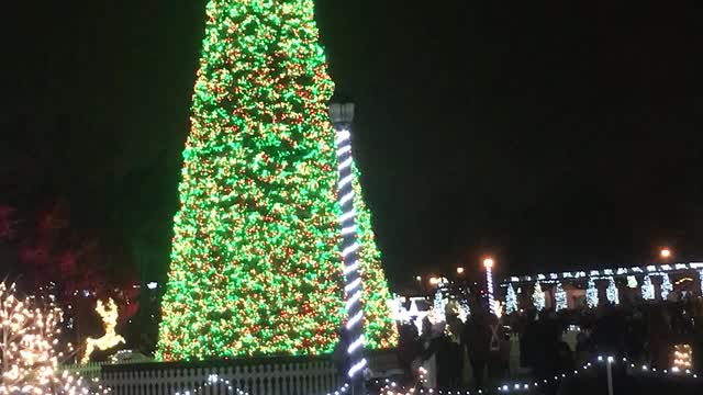 Crazy huge Christmas tree light show Windsor ontario