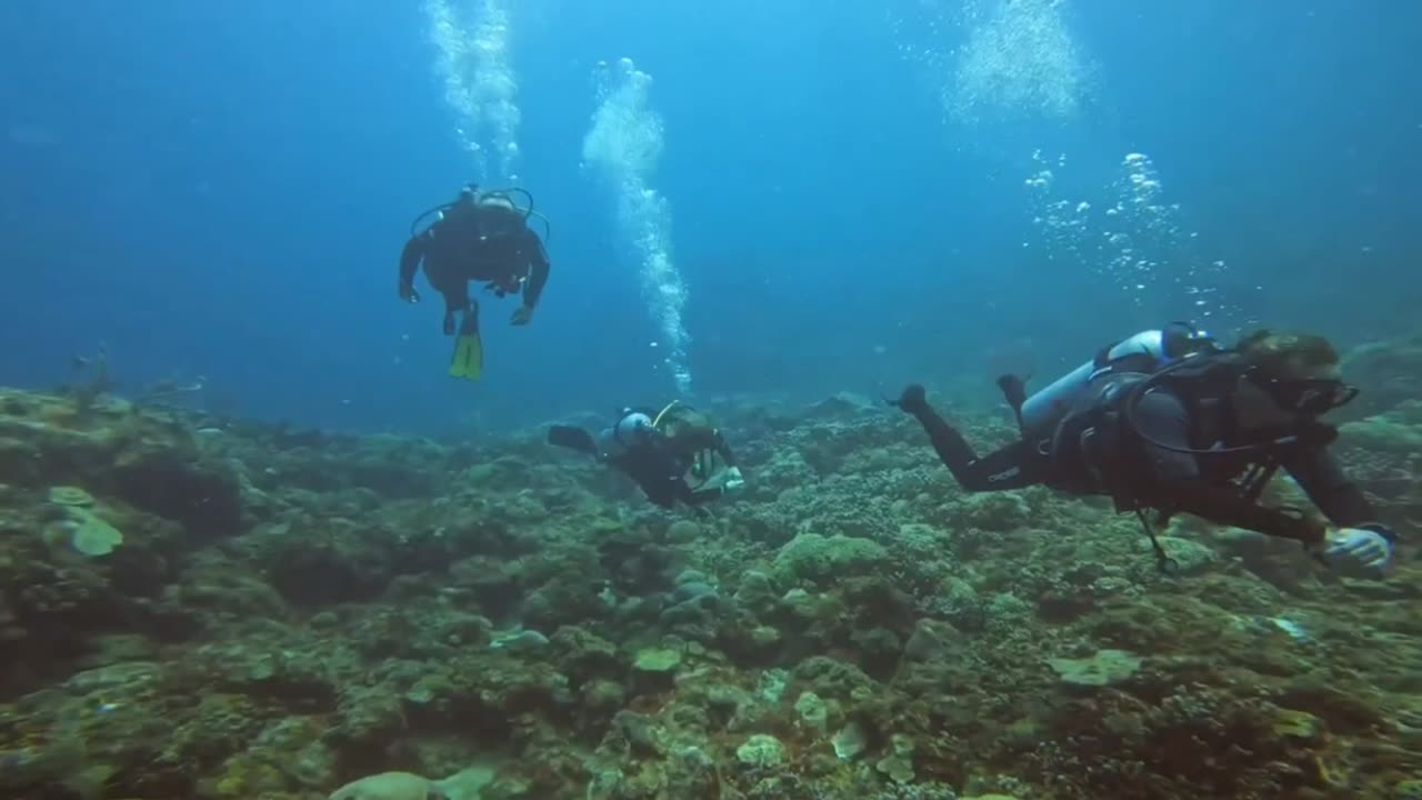Mabouya island drift