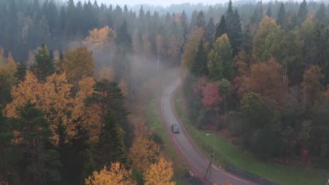 Foggy Forest Road Aerial View