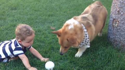puppy is my best friend.