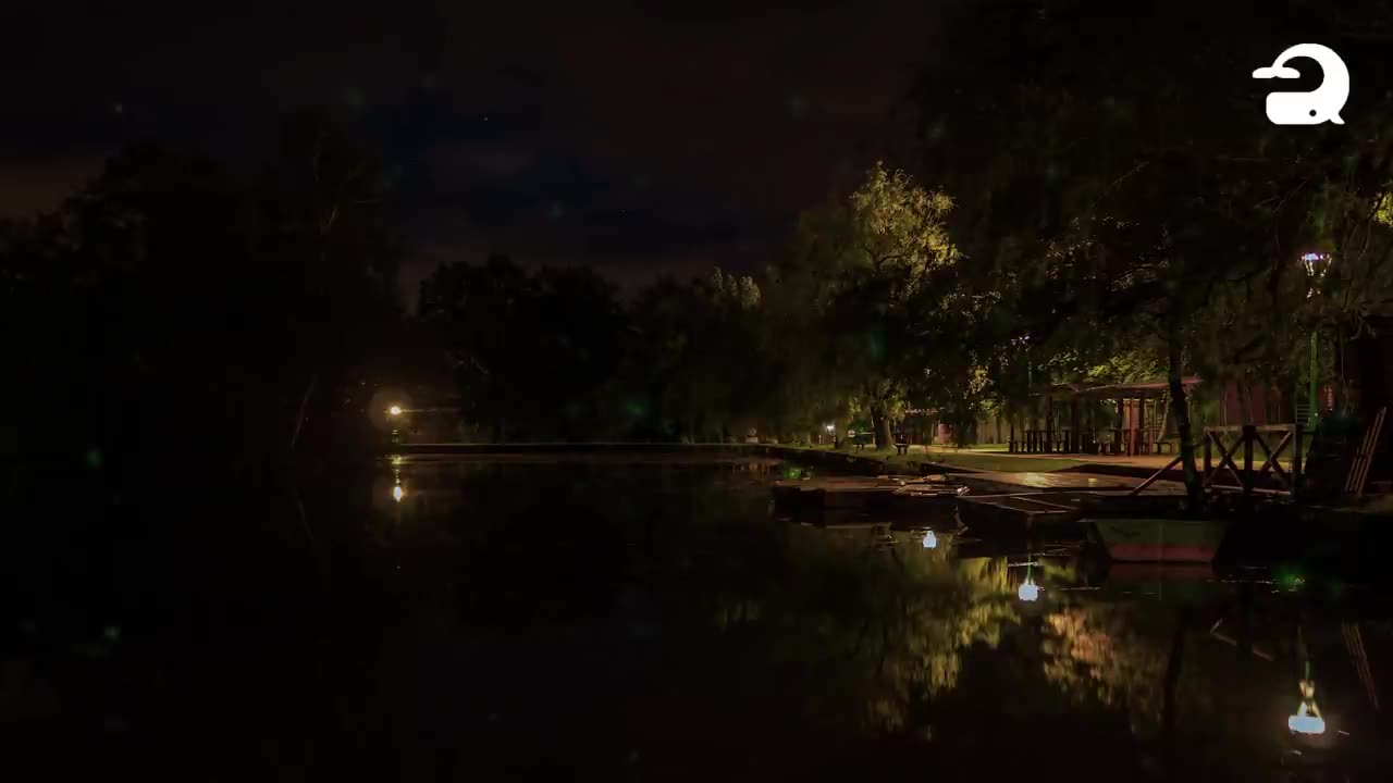 Peaceful Lake Sounds at Night | Nature Sounds, Owls, Crickets, Frogs