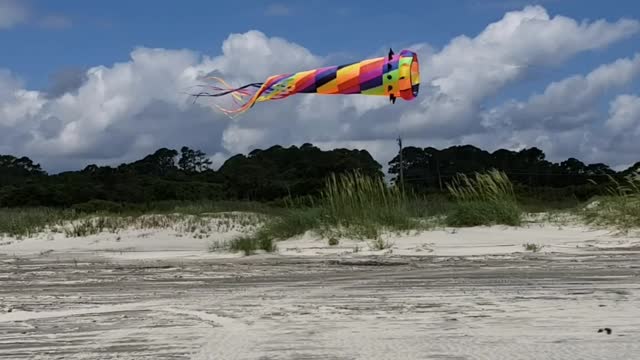 Kites on Beach