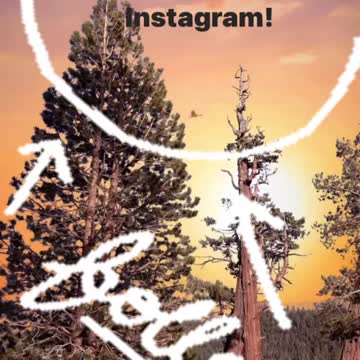 Follow @groggyphotography on Instagram