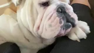 Taking to his mommy