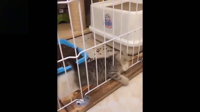 cute & fun