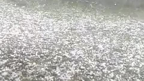 Hail storm in Brazil