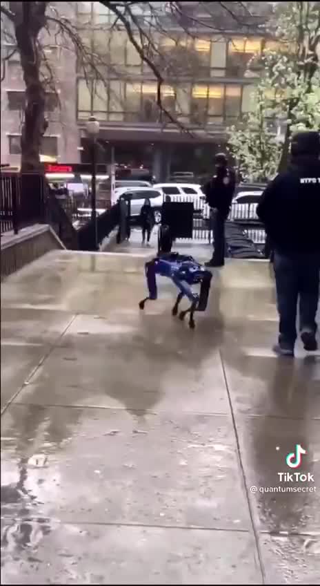 Robot Dog from China - E credete che sarà per il nostro bene?