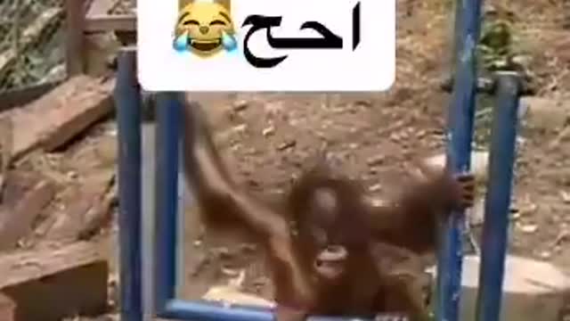 كان يلعب ضرب نفسه قام يبكي