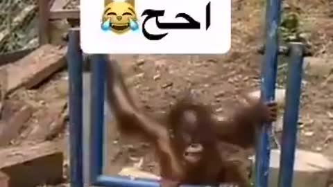 كان يلعب ضرب نفسه قام يبكي