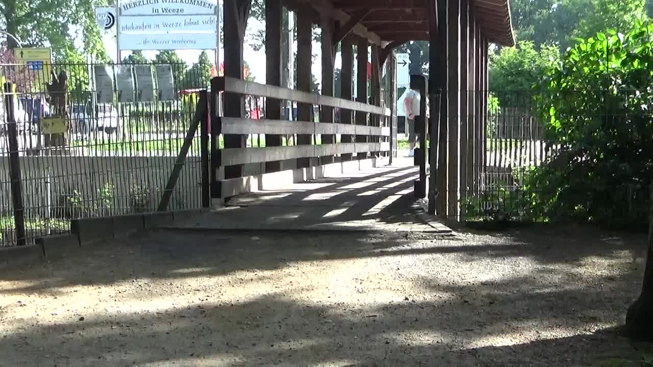 Tierpark Weeze Brücke 02