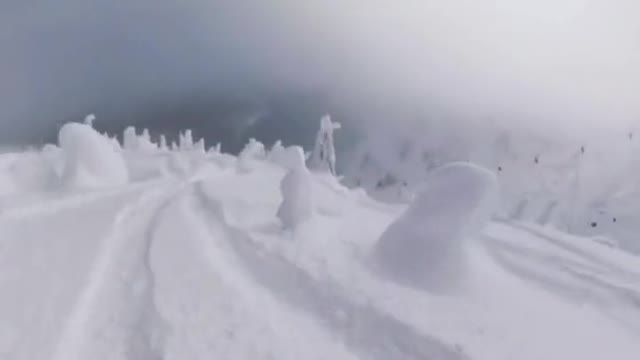 ski