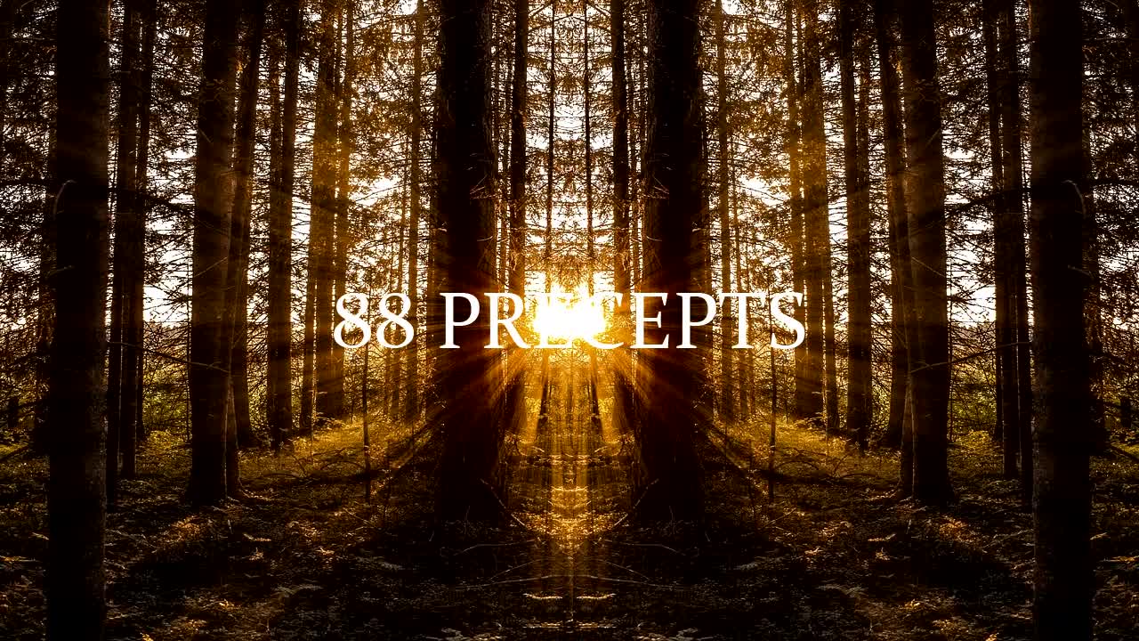 Eighty-Eight Precepts of Life