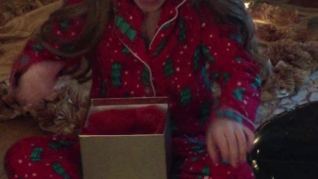 Little girl utterly surprised by hamster for Christmas