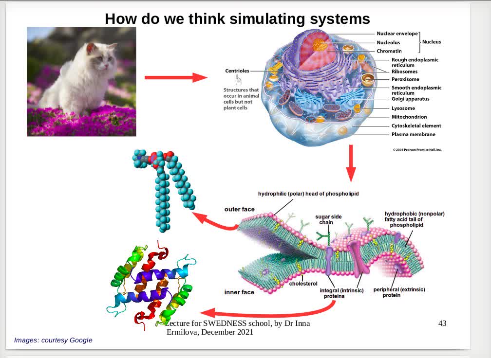 Lecture in Molecular Dynamics simulations : SWEDNESS school, part 3