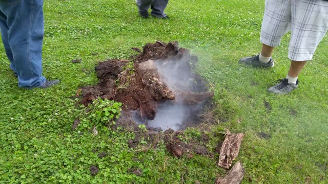 Home made stump remover explosive
