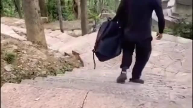 monkey vs man funny fight- animals fun