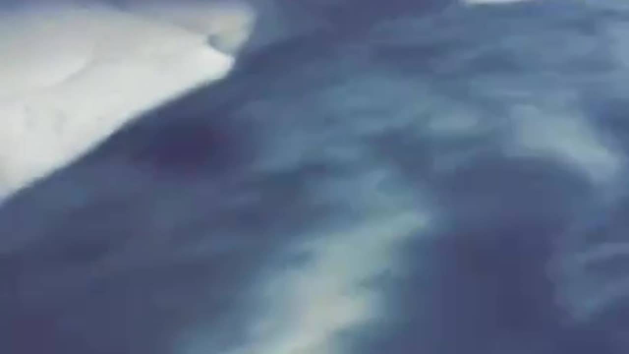 Cat ππΊππΊ