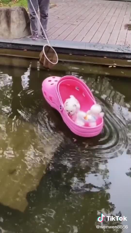 River trip with barbies