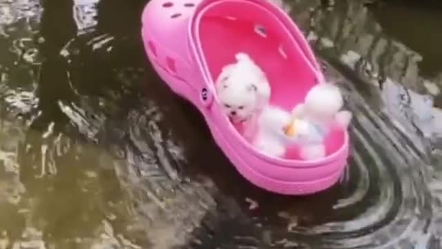River trip with barbies